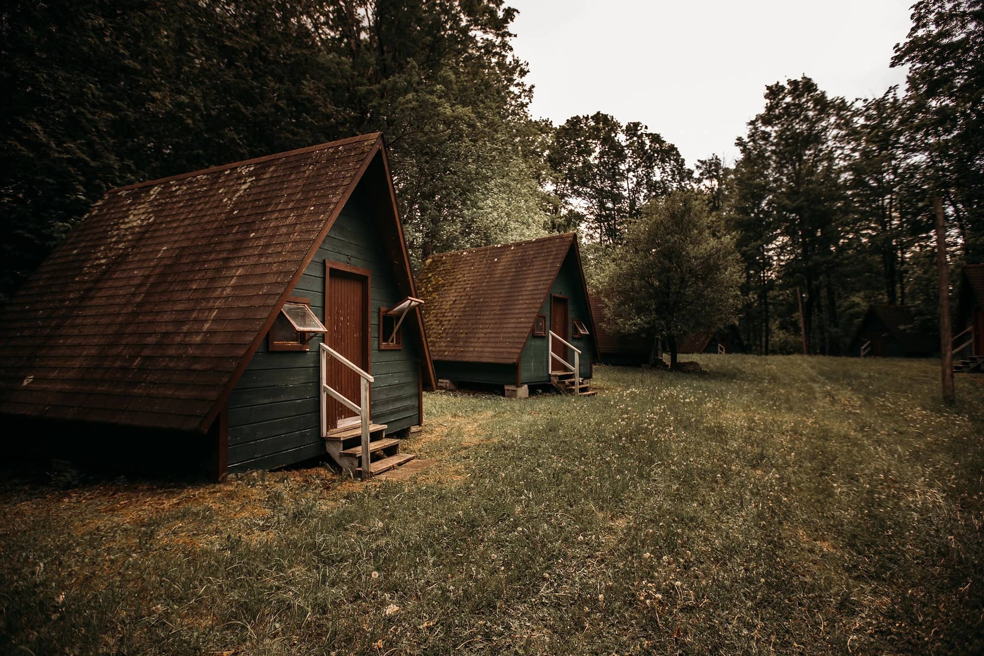 Gallery image #2